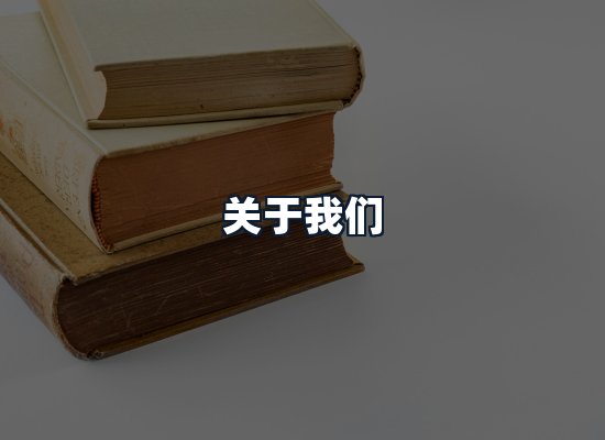 关于我们