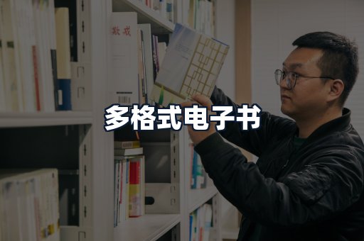 多格式电子书